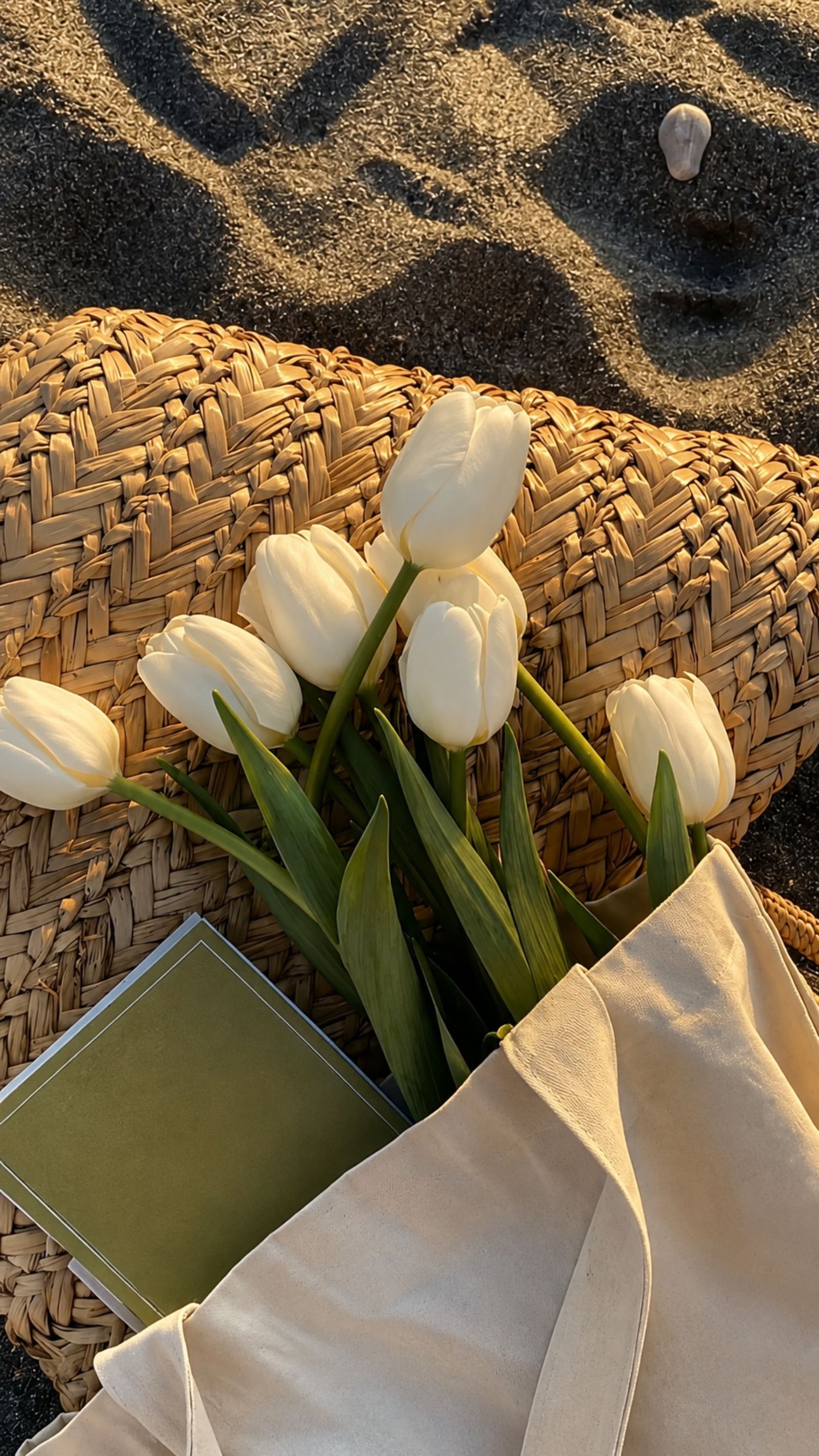 Beach Tulips Aesthetic 4K Wallpaper